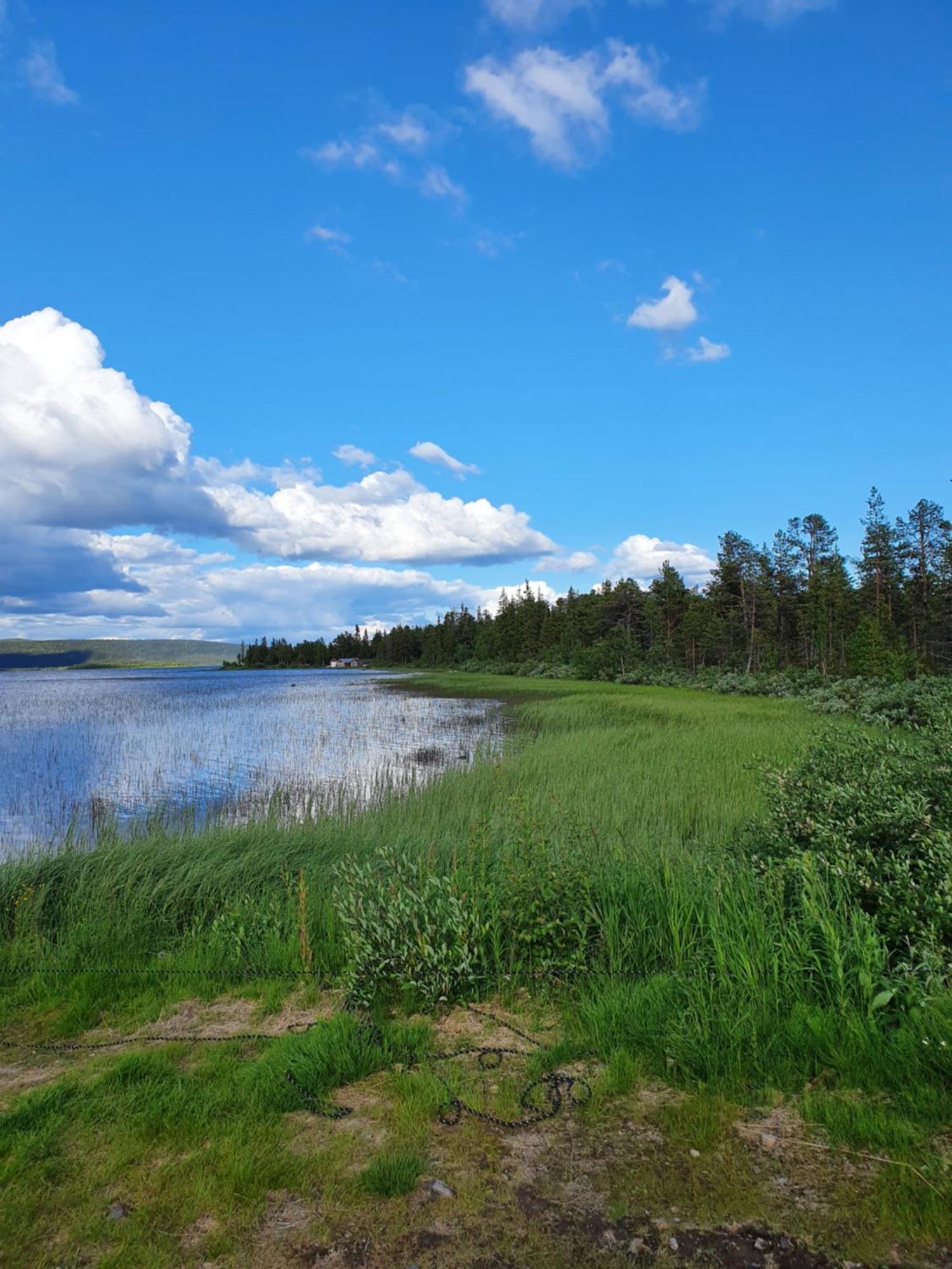 Camp Caroli Wooden Cabins Jukkasjärvi Eksteriør bilde