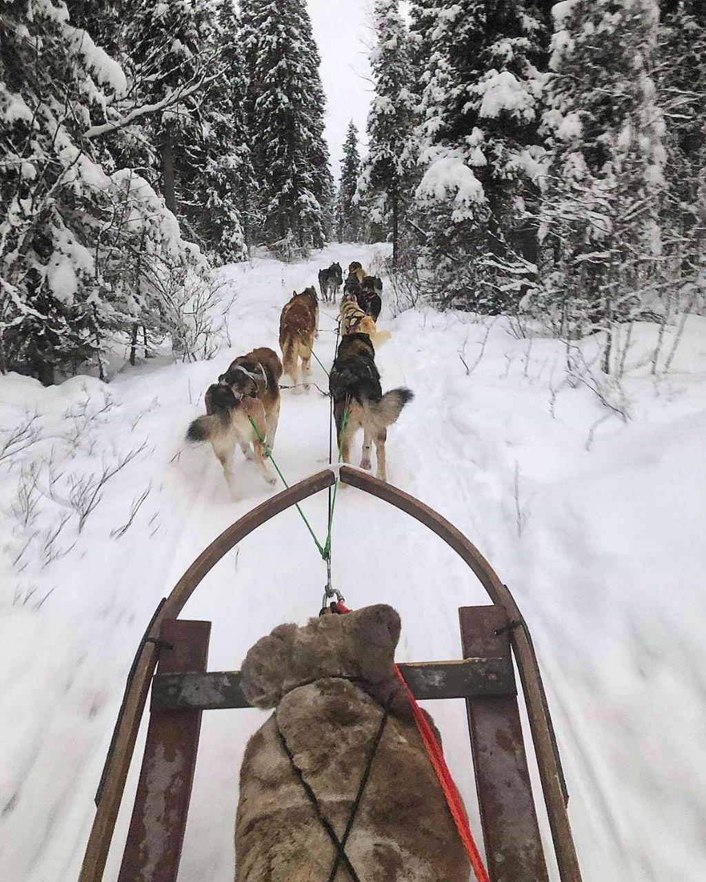 Camp Caroli Wooden Cabins Jukkasjärvi Eksteriør bilde